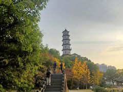 -江心屿景区