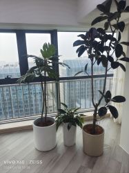 -HEYAN荷妍专业脱毛连锁机构