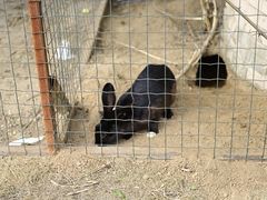 -意大利农场度假村