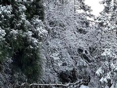-龙苍沟森林公园