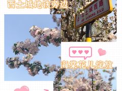 -元大都城垣遗址公园