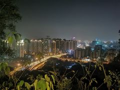 -金鸡山公园