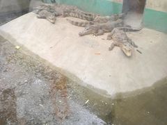 -廊坊市自然公园