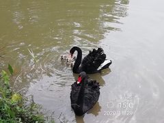 -森波拉奇妙世界