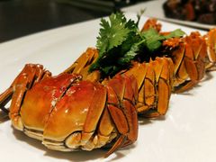 大闸蟹-童福兴·南京菜(老门东店)