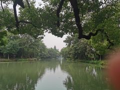 -西溪国家湿地公园