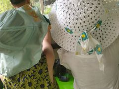 -合肥滨湖国家森林公园