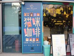 -飞行喵MR PILOT|猫舍·猫咖(静安大融城店)