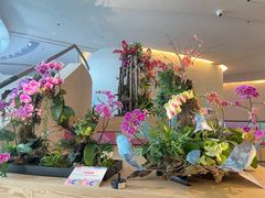 -云溪植物园