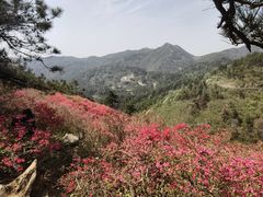 -木兰云雾山