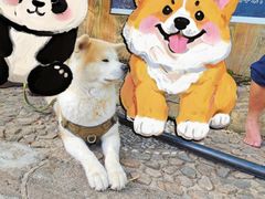 -三块石国家森林公园