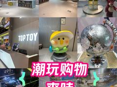 -TOP TOY(新南凯德广场店)