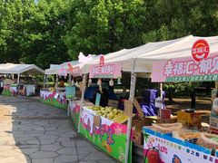 -长春公园(普阳街道)