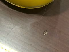 -金狮国际酒店自助餐(金狮店)