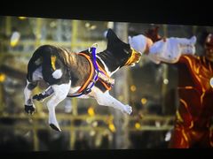 -华美国际影城(旧宫永辉店)