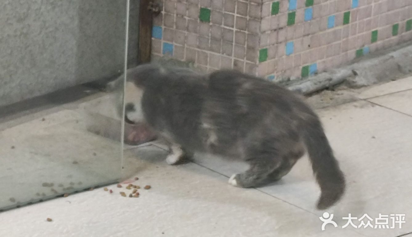 广庆府私房菜馆，在绿色路的一个小路入一点点