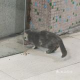 广庆府私房菜馆，在绿色路的一个小路入一点点