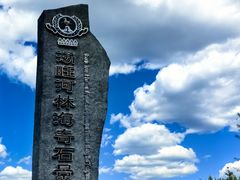 -汤旺河林海奇石景区