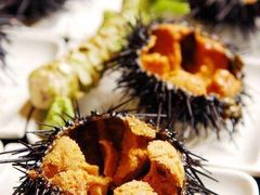 活海胆-海胆小馆(春柳店)