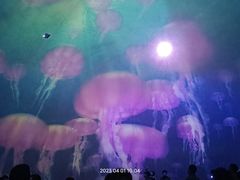 -烟台海昌鲸鲨海洋公园