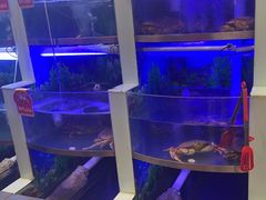 -七欣天香辣蟹火锅(扬州望月路店)