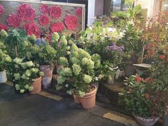 -401餐厅(弘大店)