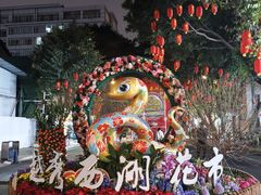 -越秀西湖花市(广州城市广场花卉店)