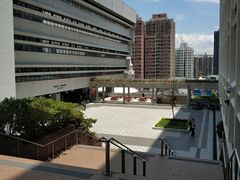 -香港大学