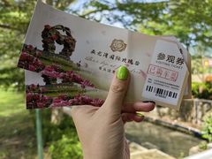 -亚龙湾国际玫瑰谷