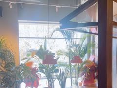 -Wagas沃歌斯(枫蓝国际店)