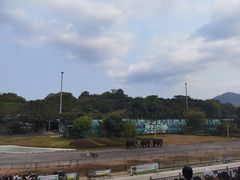 -深圳野生动物园