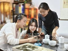 -诗宇时光茶艺书法古琴培训