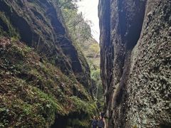 -冠豸山景区