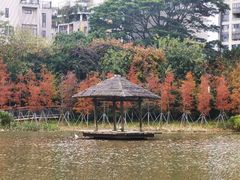 -金山公园