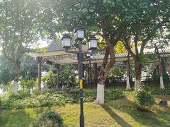 -映月湖公园
