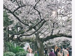 -武汉大学-樱园