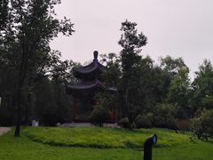 -仁和公园(顺义区)