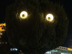 -特克斯八卦城