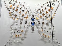 -四川大学博物馆