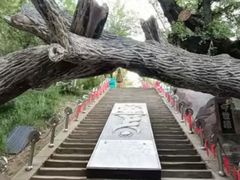 -水磨沟公园