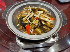 -朱桥甲鱼馆(淮海西路店)