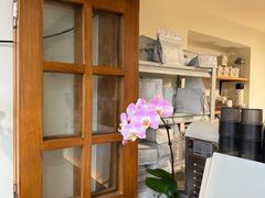 -本無咖啡·BeanWood Coffee