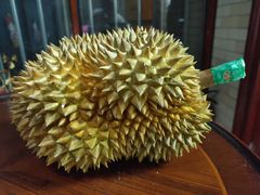 -果叔叁拾加(锦绣生态园店)