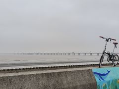 -南汇新城海滩