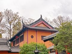 -灵谷景区