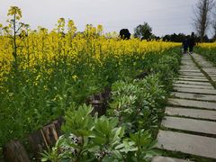 -蜀绣公园