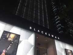 -BLACKSWAN黑天鹅(环球店)