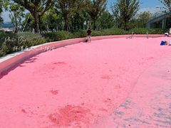 -上海山野camping·户外天幕烧烤·团建拓展营地