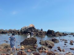 -西涌国际滨海旅游区