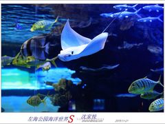 -左海海底世界